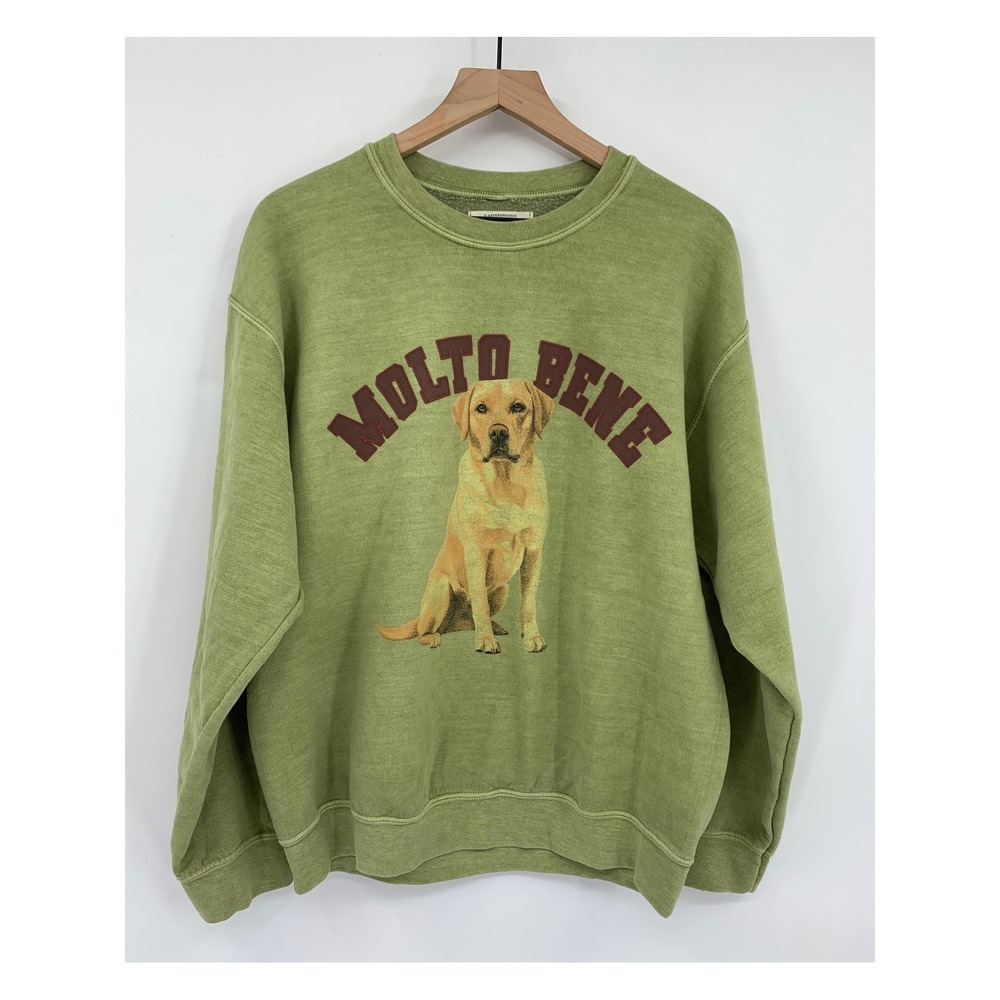 Anthropologie Molto Bene Sweater Womens Small Green Labrador Graphic Pullover